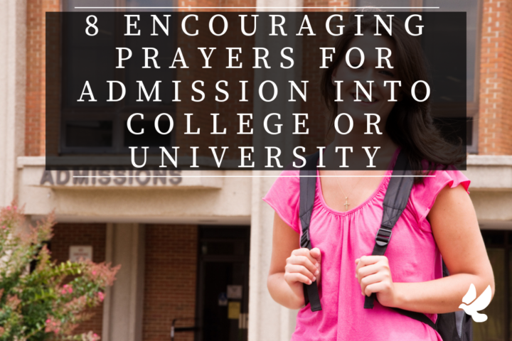 8 encouraging prayers for admission into college or university 65217e8406a81